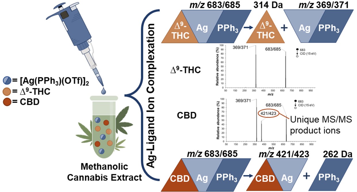 Screenshot of article on archive website