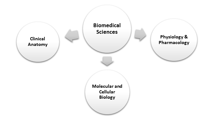Biomedical Sciences - College of Osteopathic Medicine - Sam Houston ...