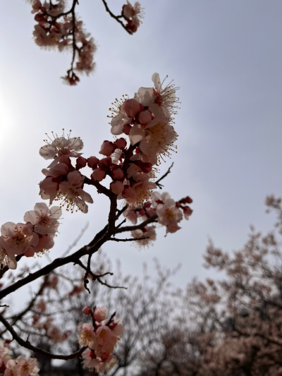 thumbnail view of thumbnail_image3