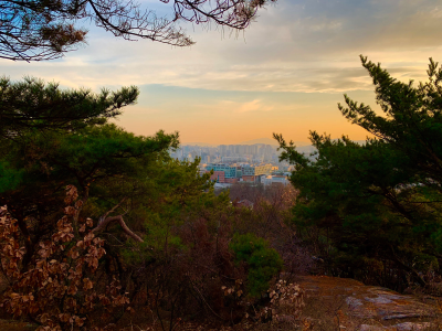 thumbnail view of Sense of Place - Melrose Sturgis - South Korea - Fall 2019 - The Hiking Path Across from the KU Dorms - There is a path on the other side of the street that older men and women walk to get ex