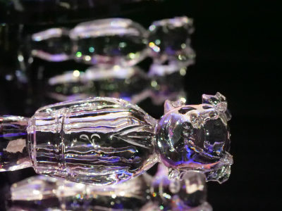 thumbnail view of P1222568