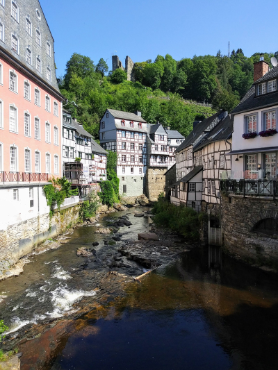 thumbnail view of Natural Beauty - Marian Franks - Germany - Summer 2018 - Monschau, Germany - Standing on a bridge looking toward Monschau Castle in background