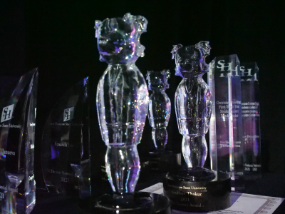 thumbnail view of P1222571