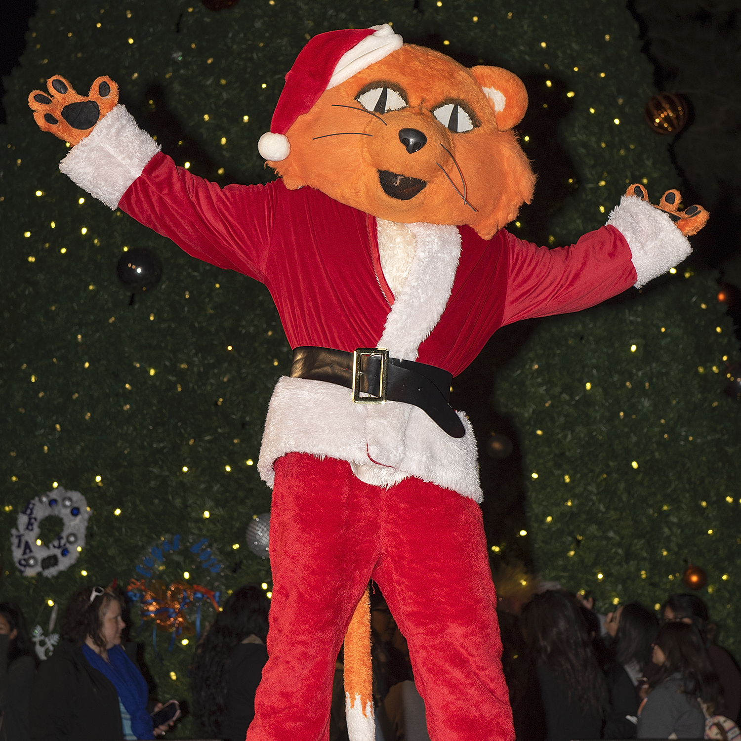 Sammy in front of Tree of Light